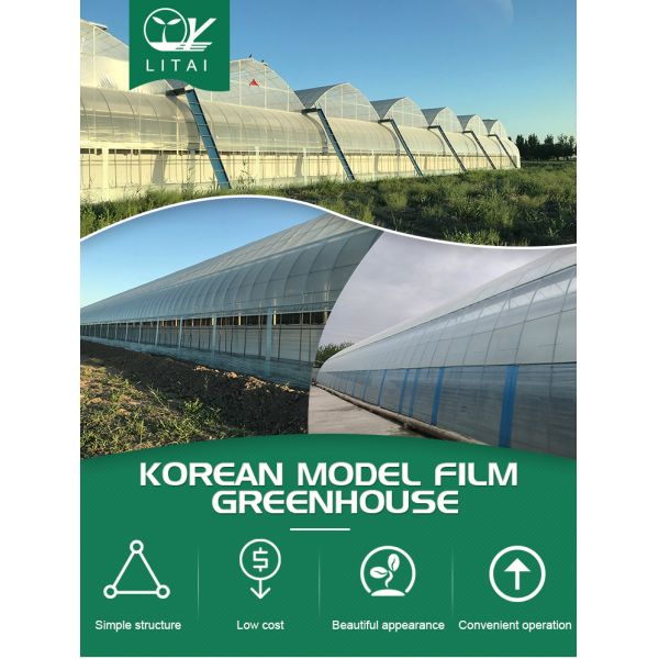 Agricultural Commercial Grass Greenhouse with Electrical or Water Heating System