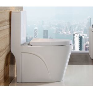 Dual-Flush One Piece Toilet with Ceramic Water Tank