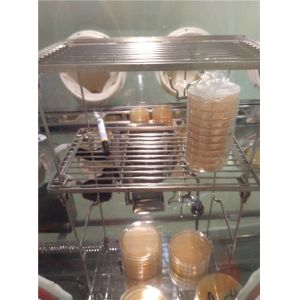 China Laminar Flow Ss304 Pharmaceutical Sterility Test Isolator wholesale