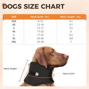 Dog neck brace
