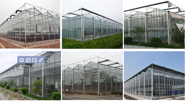 High Quality Modern Greenhouse Frame Structure For Special Commercial Agriculture