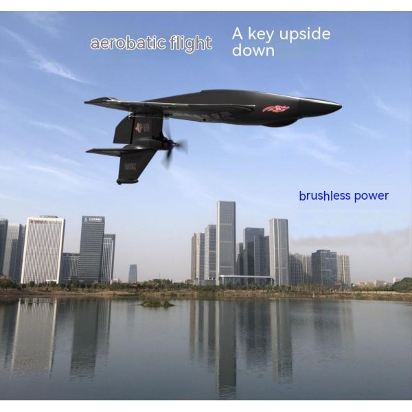 Raptor H650 Lightweight 2.4g Proportional Long Range Led Light Aerobatics Stunt RC Seaplane Brushless Flying Model Other