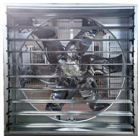 China Automatic Broilers / Hens Chicken House Exhaust Fans Ventilation wholesale