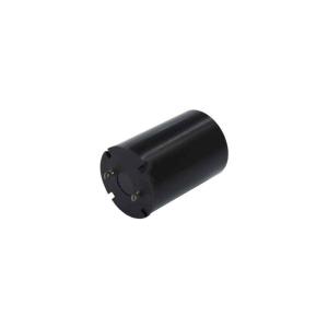 China Faradyi Custom Professional Manufacturer 17*25Mmm 20000rpm 8V 12V DC Brushed Coreless Motor With Encoder For Jet Ski wholesale