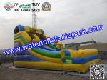 Inflatable Water Slide For Amusement Park / Inflatable Pool Slide