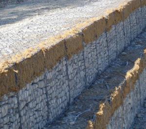 China CE Hdpe Geonet Gabion Wire Mesh / Low Carbon Stone Cage  2.2mm  - 4.0mm Wire wholesale