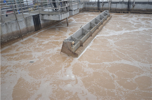 China Sequence Batch Reactor Food Processing SBR Wastewater Treatment wholesale