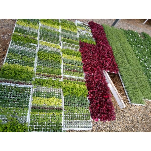 Motor Packaging High Density Pearl Cotton Packaging Protection EPE Poly Foam Lining