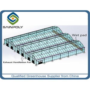 China Economical Gothic Arch Greenhouse , Commercial Greenhouse Structures Customized Design wholesale
