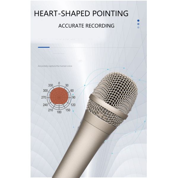 OEM ODM Home Studio Microphone 12mv/PA Karaoke Singing Mic