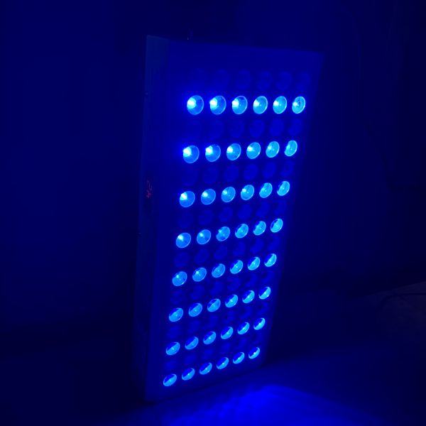 CE Certification 265v Red And Blue Light Therapy For Varicose Veins