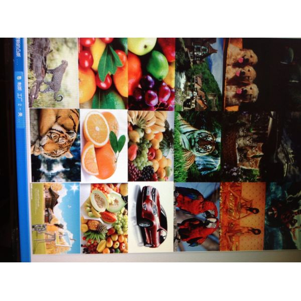 Plastic PP PE High Speed Flexo Printing Machine POF PVC Non Woven Woven Fabric Paper Bag