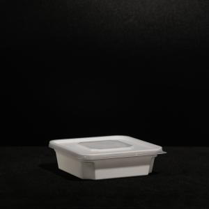 China Customized Disposable PP Lunch Box with Snap On Lid For Cold and Hot Food Outdoor wholesale