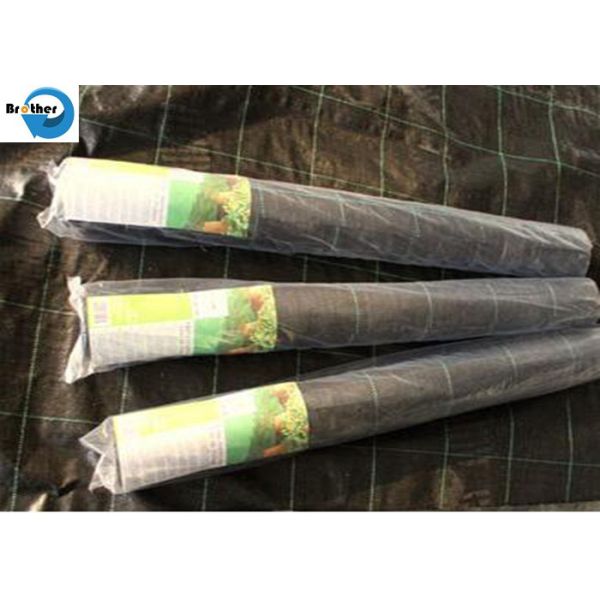 Heavy Duty Landscape Weed Control Fabric with Spacing Perfect Gardening Weed Blocker Barrier Ground Cover
