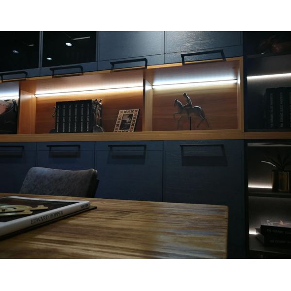 Dynamic Tunable White LED Strip Light 12V Waterproof