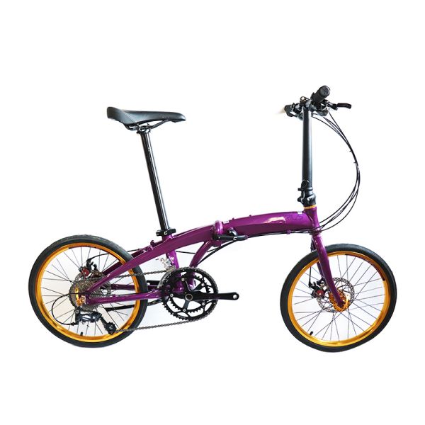 Full Shockingproof Frame Folding Bike 20" 9 Speed Crius Velocity-D Brake for Adults