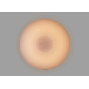 Dimmable LED Ceiling Light Fixtures Residential , Safe LED Bedroom Ceiling