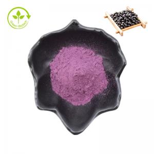 China Black Bean Peel Extract Anthocyanin Black Soya Bean Peel Extract Powder wholesale