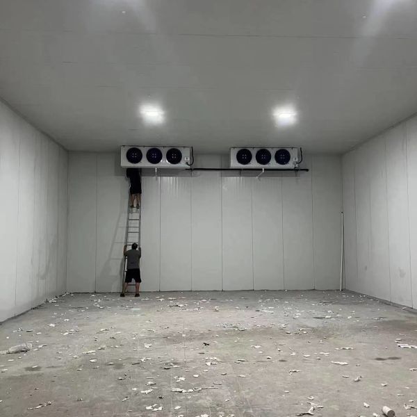 Walk In Cold Room Freezer