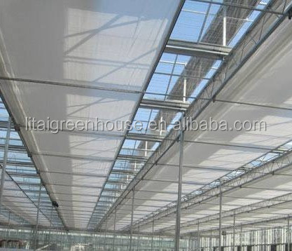 Multi Span Agriculture Greenhouse Height 3m Customized Length 50m