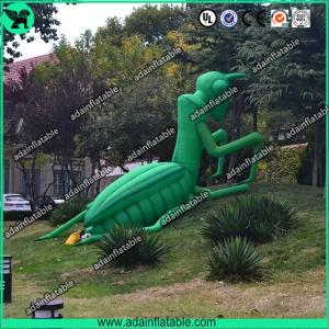 China Inflatable Mantis wholesale