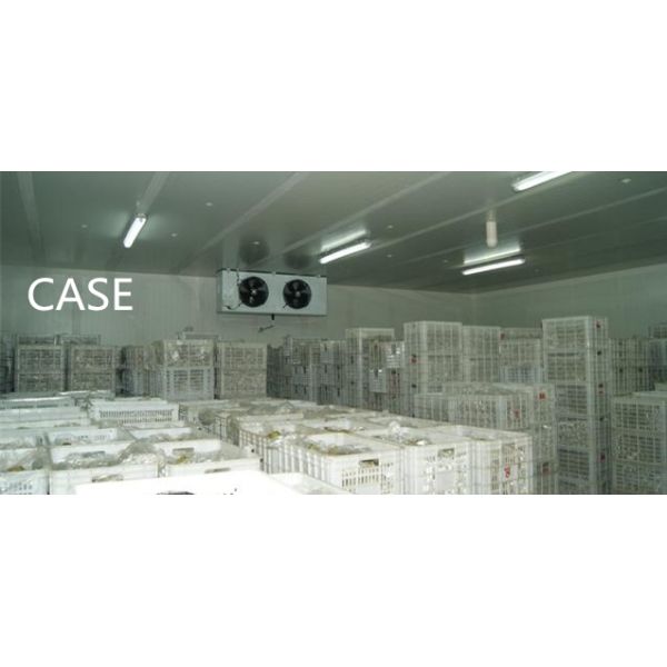 Customized Prefabricated Cold Room , Refrigeration Equippment For Ice Plant