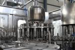 8000BPH Automatic Bottling Machine Middle Scale Juice Making / Filling