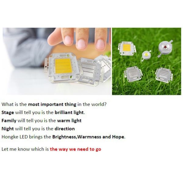 Hot Sell CE Approved Brigelux Chip 3w 10w 30w 100w LED RGB Full Spectrum for Plant Growing