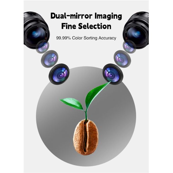 Coffee Color Sorter Corn Candy Bean Colour Selection Machine Color Sorting Machine