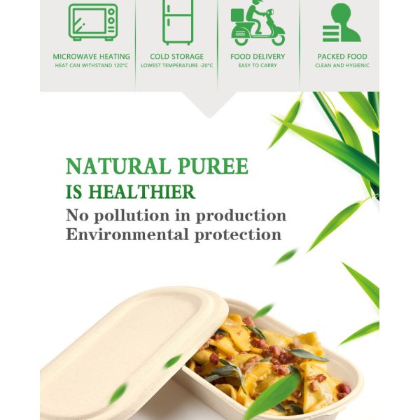 TUV 6 Inch 5 Inch Moulded Clamshell Mini Burger Box