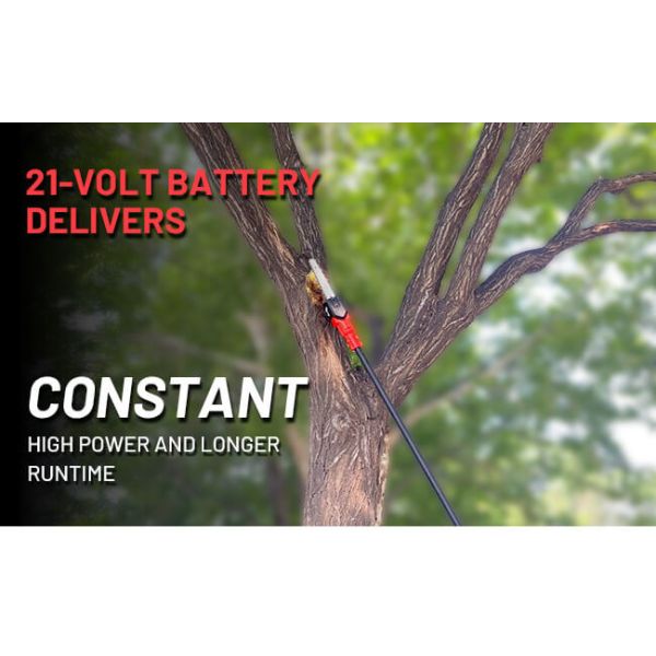 8 Inch Long Pole Chainsaw High Reach Cordless Battery Pruning Saw