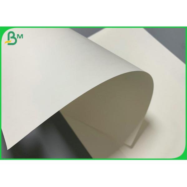 350gsm 70 x 100cm FBB Whiter Board For Medicine Packaging Box