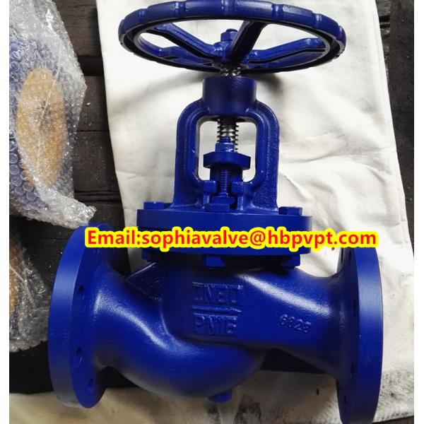 valve body GG25 PN16 cast iron globe valve