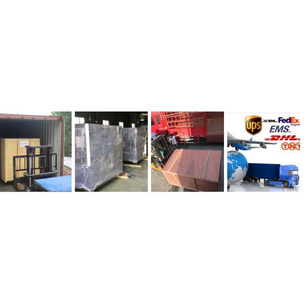 Embossed Tactile Membrane Switch Keypad With 3M55230 Back Adhesive