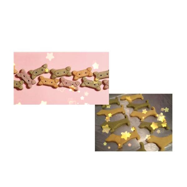 MK-300 Stainless Steel Colored Dog Biscuit Making Machine With Stable Performance