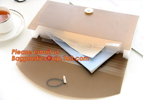 Quality new popular a4/letter size plastic pp poly Expandable Desk top file folder organizer for sale