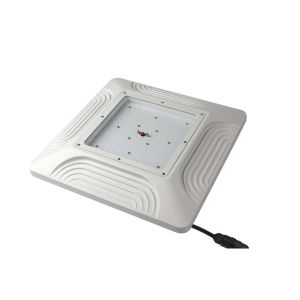 Buy cheap Recessed Mounted 100W LED Gas Station Canopy Lamp, IP65, Meanwell driver LEDs from wholesalers