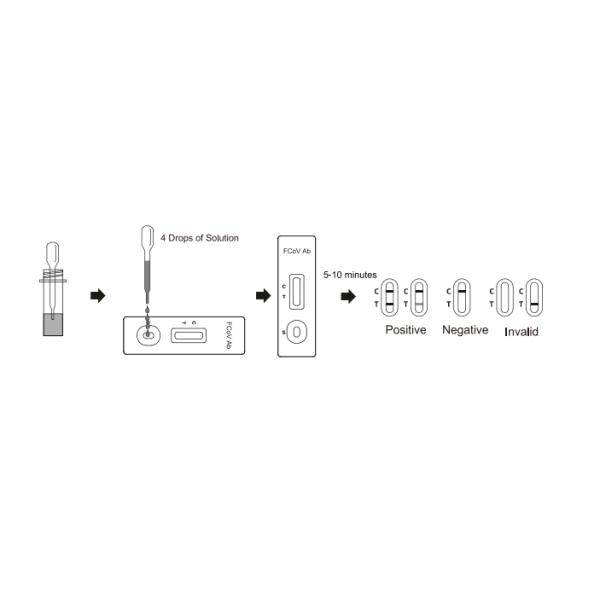 Feline Corona Virus Antibody Rapid Test Cassette Serum / Ascites / Hydrothorax