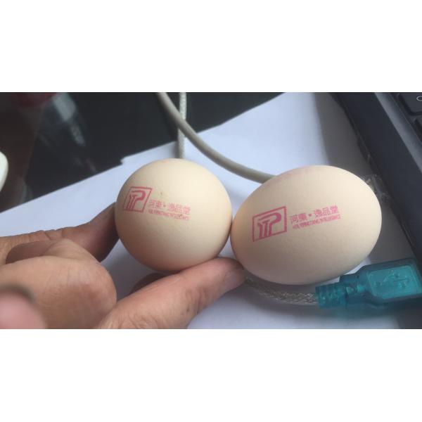 52KG Egg Date Stamp Machine With Wide Printed Content Like Chinese And English