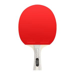 Control Well Rackets for Table Tennis For Allround Excellence