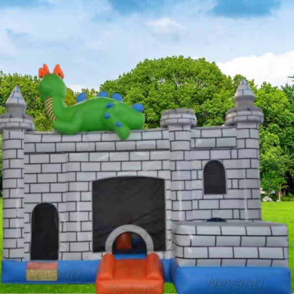 Gender-Neutral Inflatable Castle Frozen Water Slide Bounce House for Inflatable Jumpers