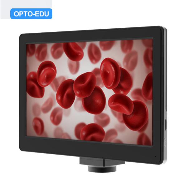 Quality USB2.0 Mouse Measure 5.0M 10x Zoom Digital Microscope Camera for sale