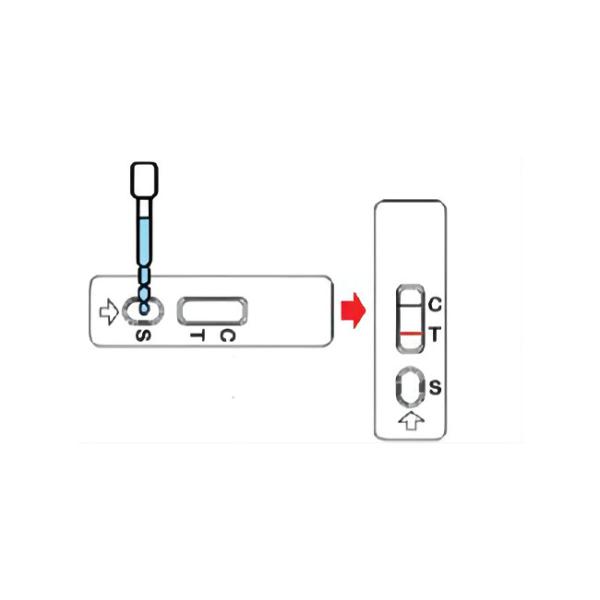 Cloaca Antigen Avian Influenza Rapid Test Kit 50 Tests/Kit ISO9001