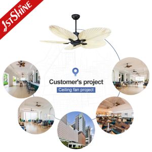 ETL Certificate Silent Motor Classic Ceiling Fans Without Light