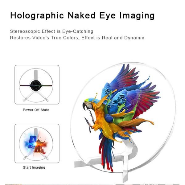 Interactive 3D Holo Fan Hologram Fan Display With Remote Control For Conference