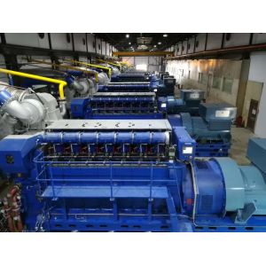 OEM Portable Diesel Generator Customizable Generator Set