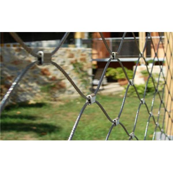 Bird Rain Forest Stainless Steel Zoo Wire Mesh Custom Width