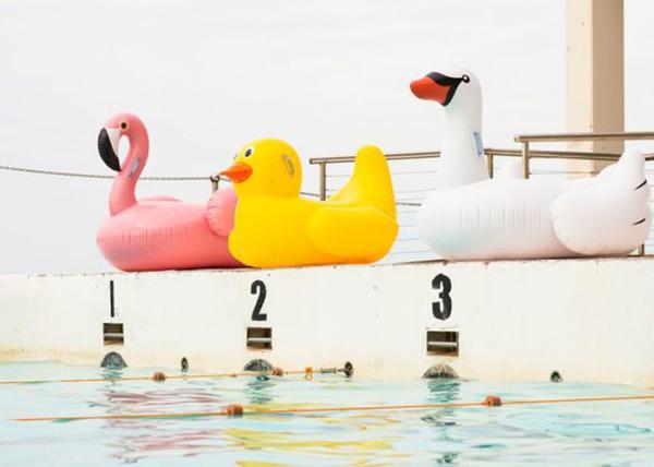 Quality Giant Inflatable Water Toys Float Swan Inflatable Flamingo For Pool for sale