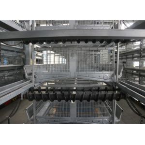 China Modern Poultry Raising Equipment Suitable For Closed Chicken House wholesale