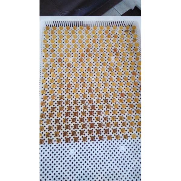 ISO9001 PPE 75 * 55 * 5cm Plastic Drying Trays